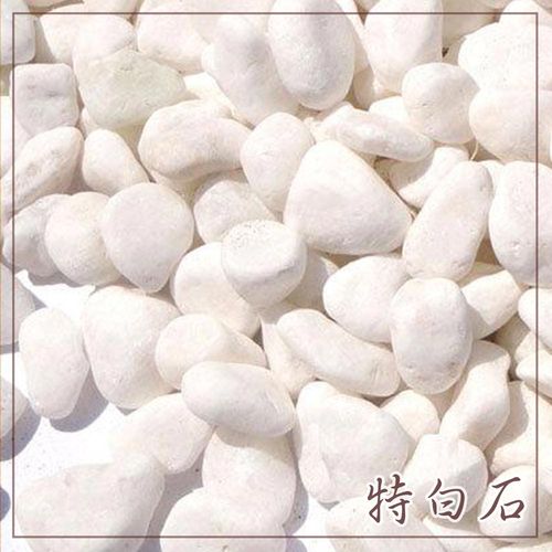 特白石1.2分20kg/袋