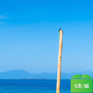 園藝用竹竿 約118cm高-6支/組